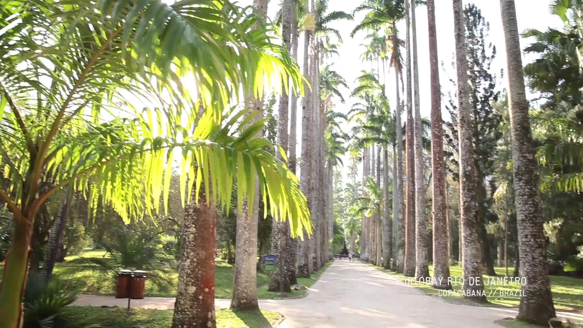 PortoBay Rio Internacional